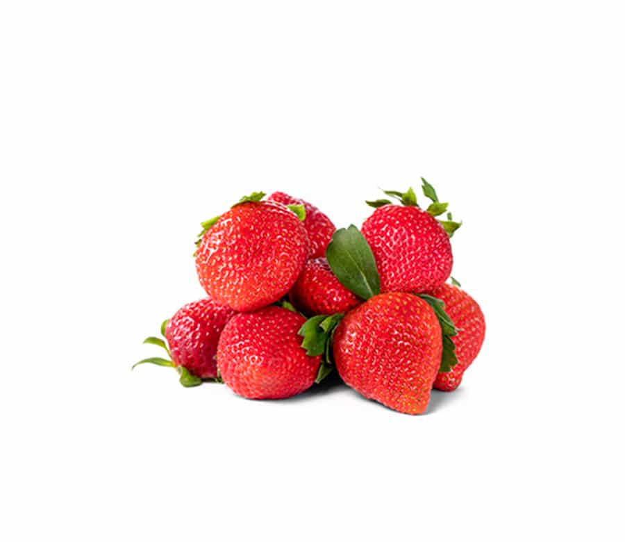 free fraises transformice hack