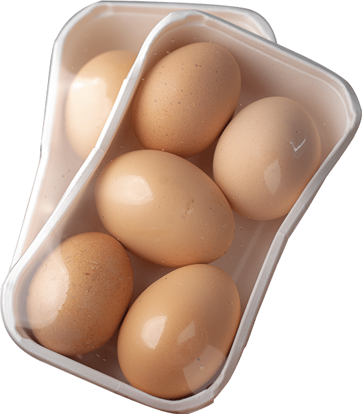 eggs-6pcs-mauritius