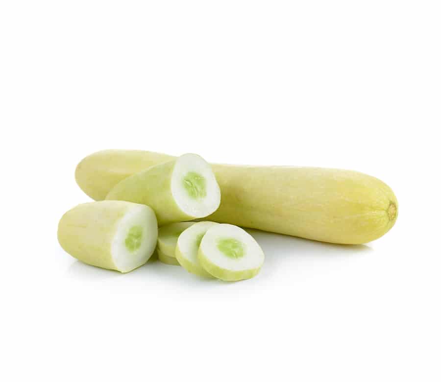 White Cucumber Mauritius