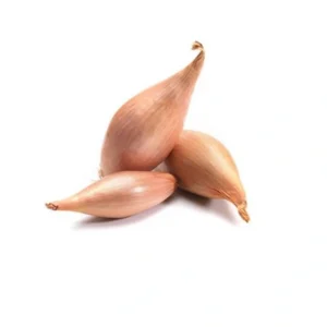 Échalote / Shallot (kg)