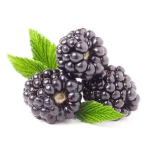 Mûre / Blackberries (bqt 125g)