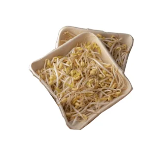Emberique / Beansprouts (Bqt 100g)