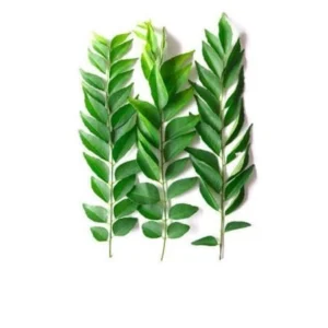 Curry poulet / Curry leaves (PACK)