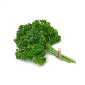 Persil frise / Curly parsley (PACK)