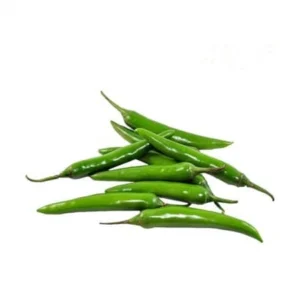 Piment vert / Green chilli (BQT)