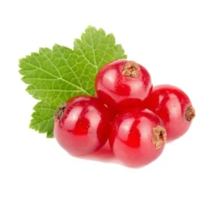 Red currant (bqt 125g)