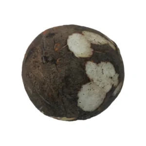 Coco sec / Dry coconut (PC)
