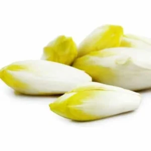 Endive / White witloof / Chicory (kg)