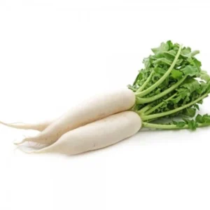Navet (bqt 2 pcs)