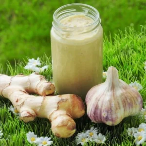 Pâte ail et gingembre (cup)