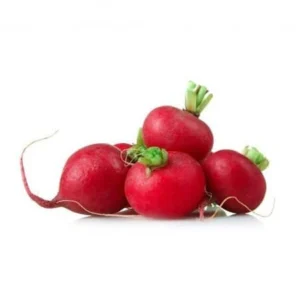 Radis / Red radish (Bqt 250g)