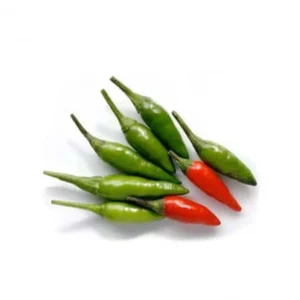 Piment vert petit / Small green chilli (BQT)