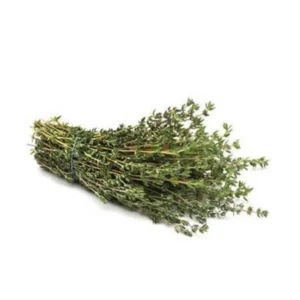 Thym / Thyme (PACK)