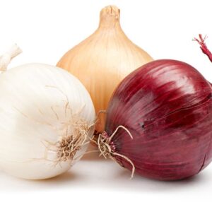 OIGNON NETTOYE / ONION CLEANED AND PACKED (KG)