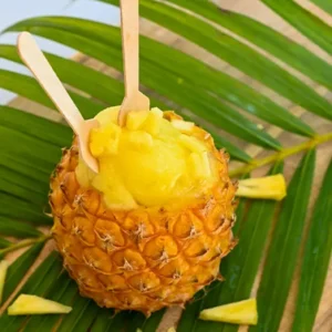 Sorbet Ananas - 500ML